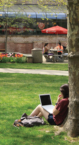Student Studying Under a Tree Outside